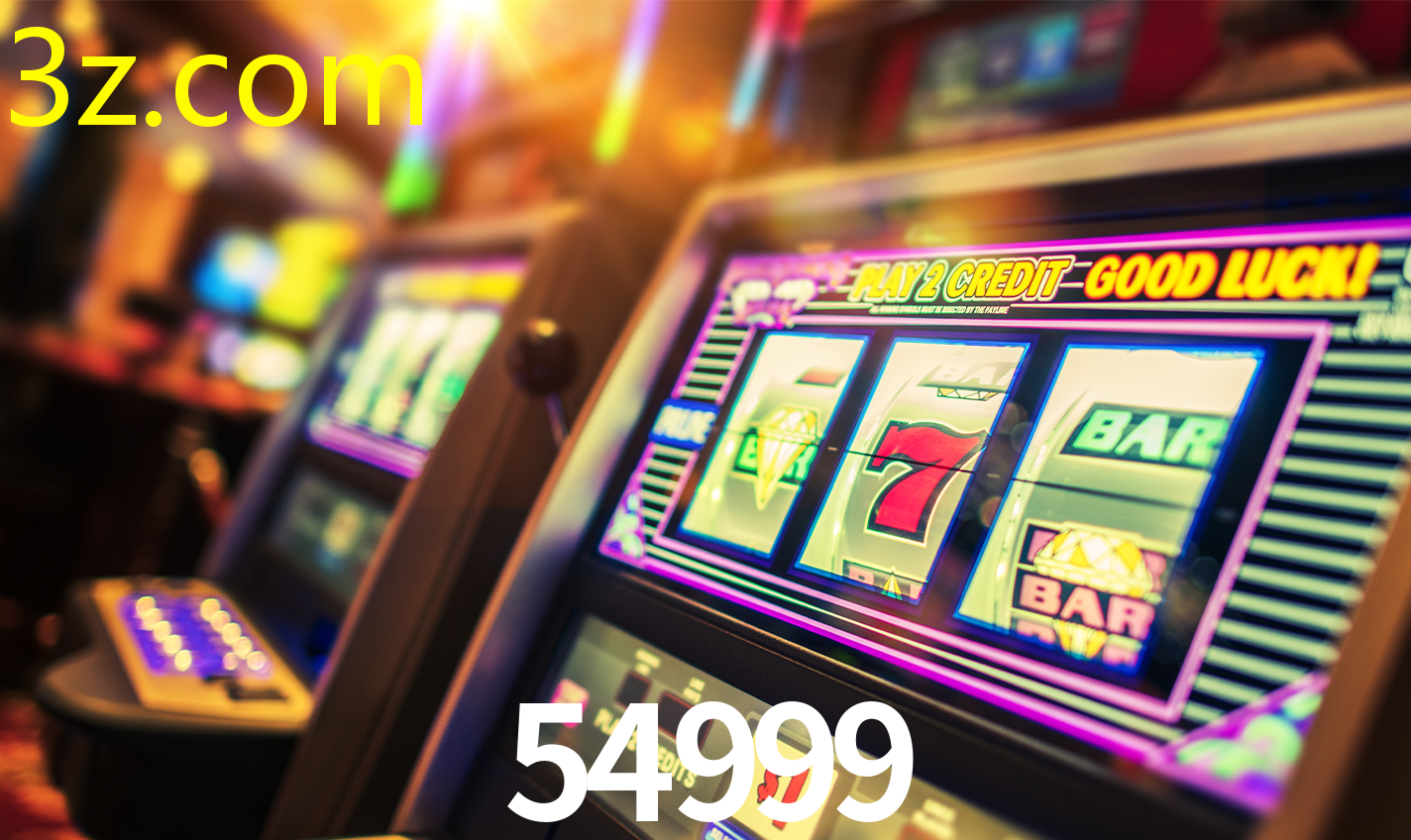 54999.COM