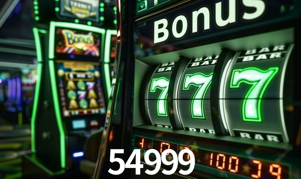 Bonus Features 54999